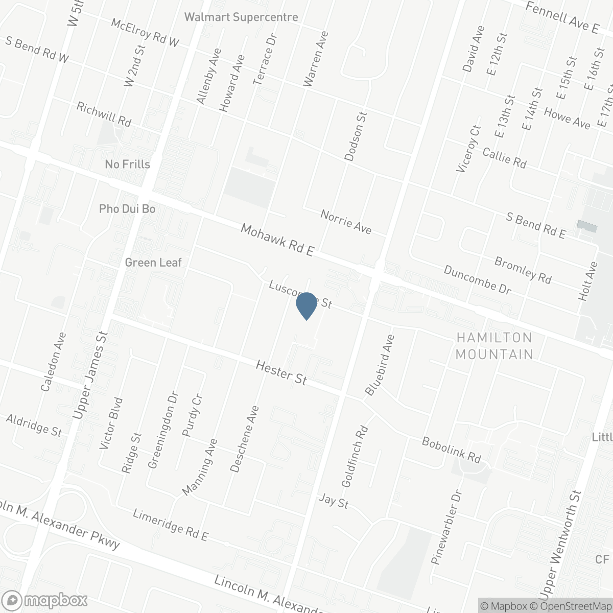 138 LUSCOMBE STREET, Hamilton, Ontario L9A 2K3